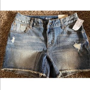 Maurices Shorts
